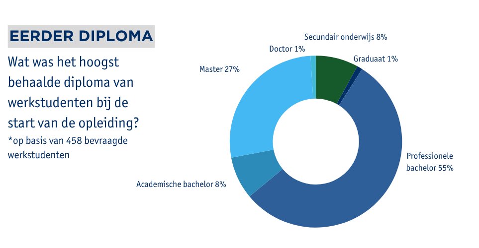 Profiel van de werkstudent