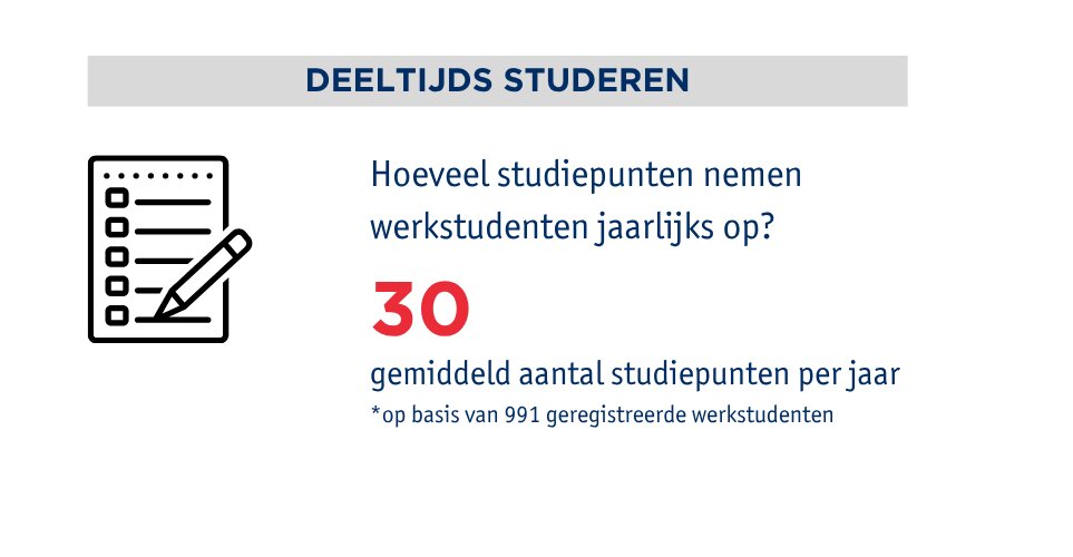 Profiel van de werkstudent