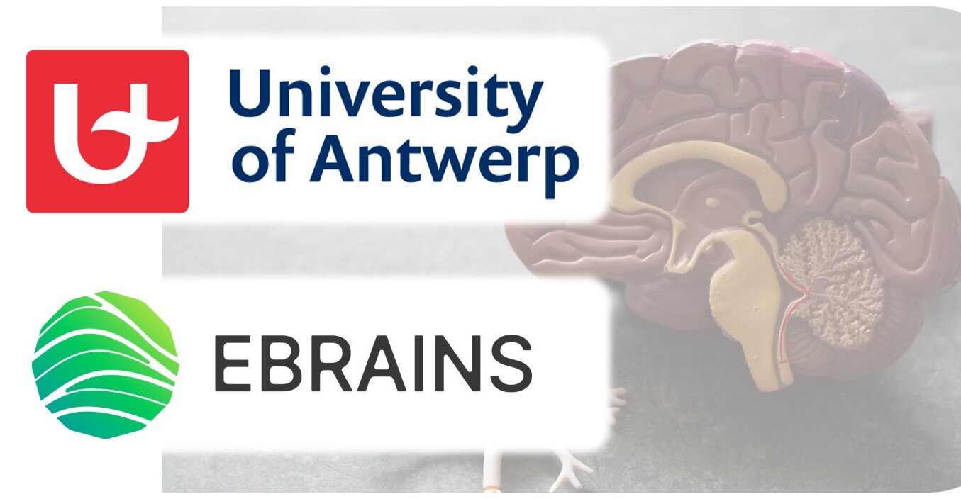 University of Antwerp joins EBRAINS as associate member