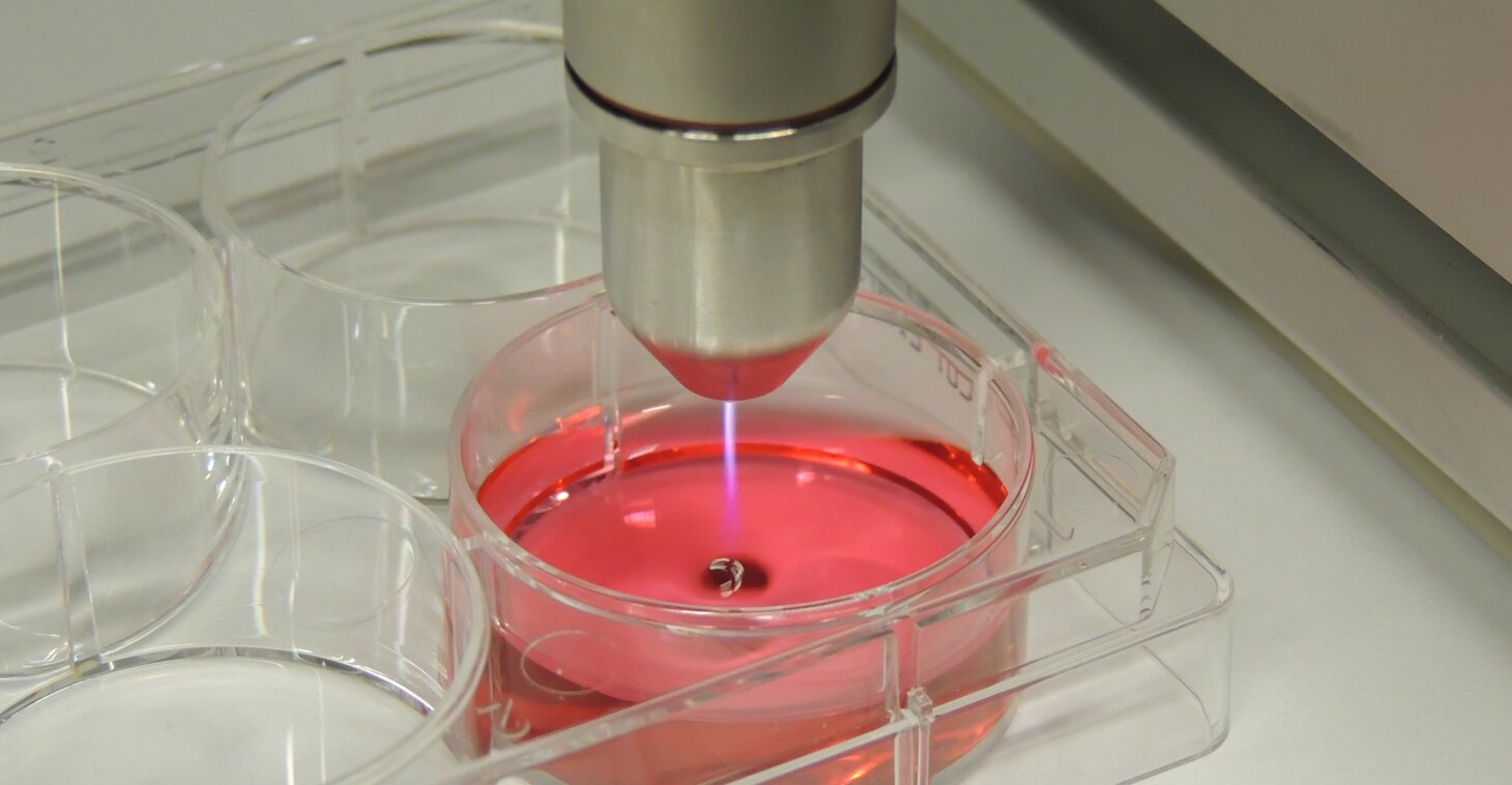 kINPen plasma jet for plasma medicine