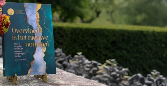 Overvloed is het nieuwe normaal