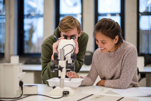 Labo-oefeningen met de microscoop