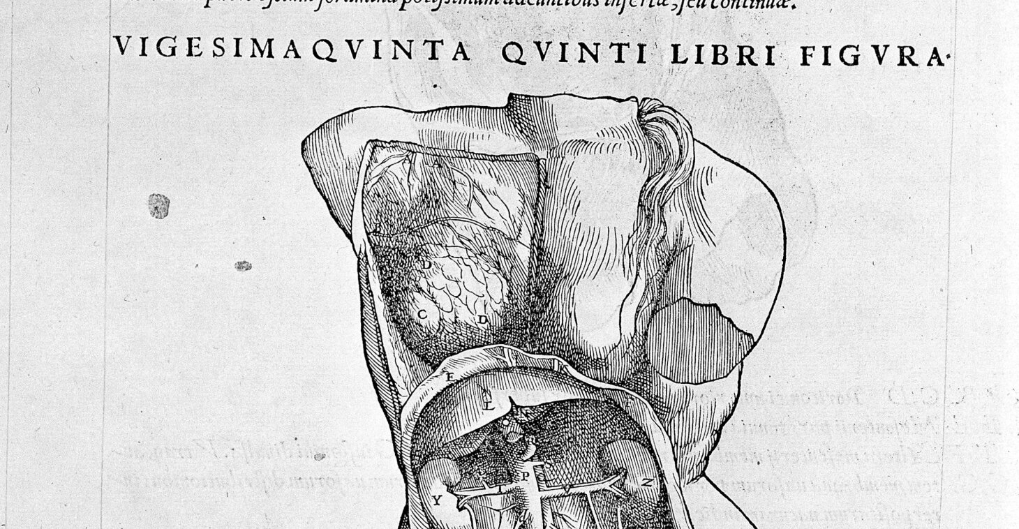 Alison Klairmont Lingo