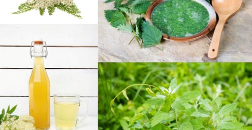 Koken met wildpluk 31 mei (NIEUW!)